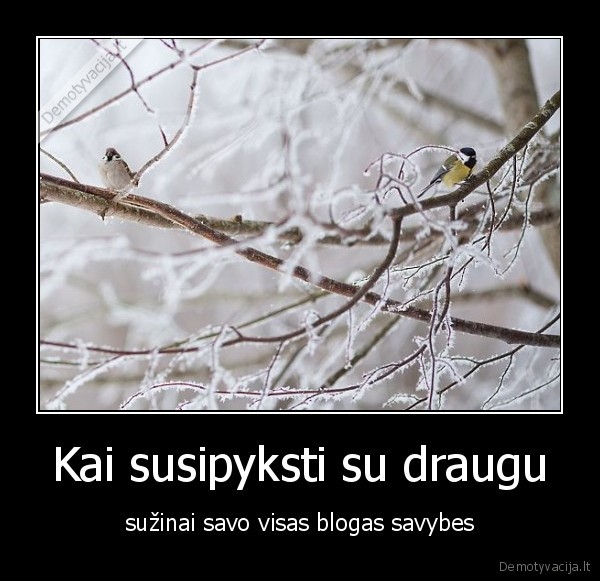 Kai susipyksti su draugu