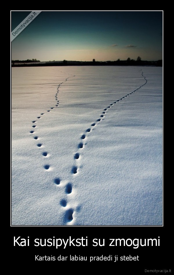 Kai susipyksti su zmogumi