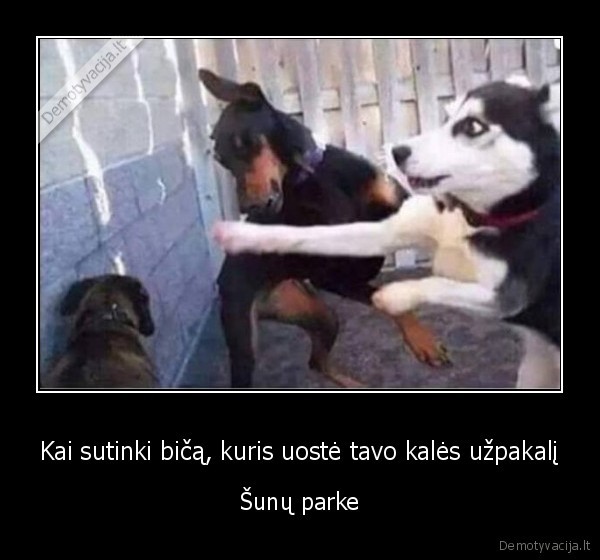 suniski, reikalai,pasisveikinimas