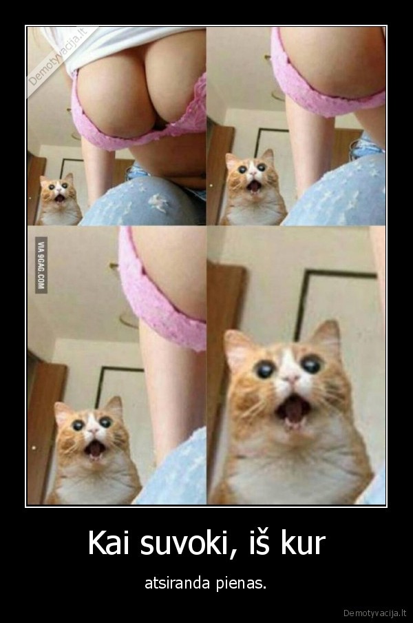 kate,katinas,pienas,mergina,papai