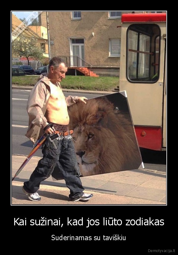 zodiako, zenklai,horoskopai,liuto, paveikslas