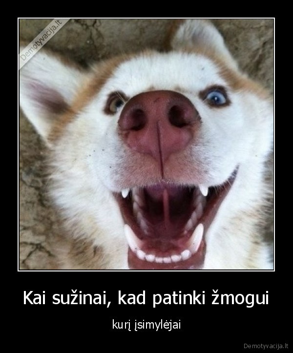 zmogus,meile,dziaugsmas,simpatija