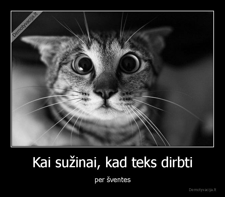 sventes,darbas,pamaina