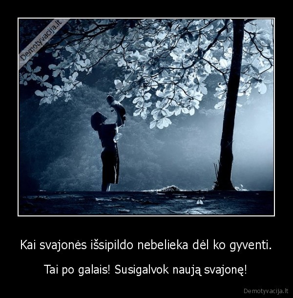 dreams,point, at, me