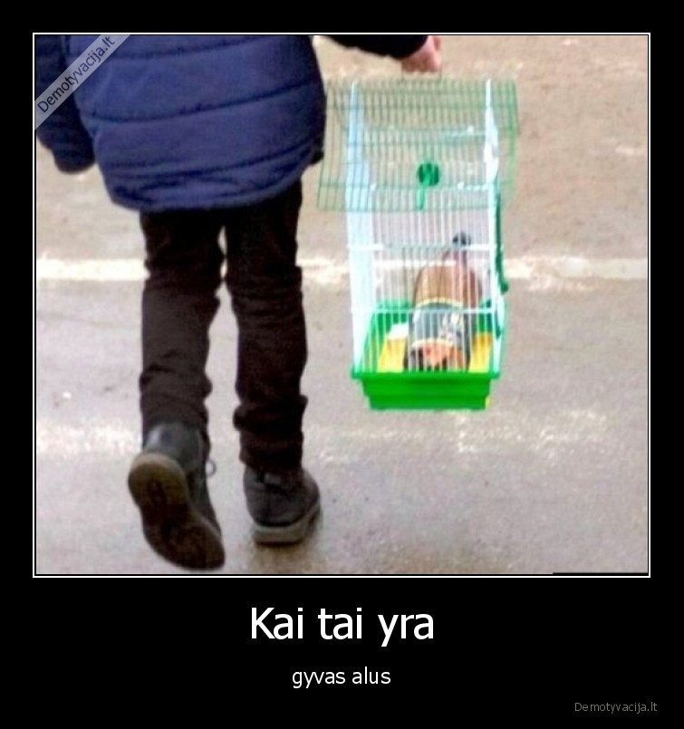 gyvas,alus,grotos,vaikas