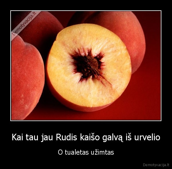 siknaskyle,abrikosas, ar, persikas