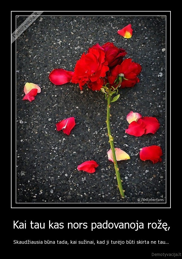 Kai tau kas nors padovanoja rožę,