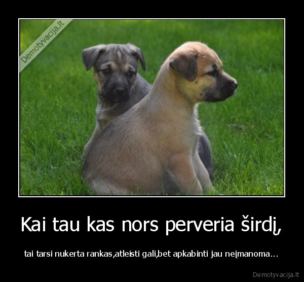 meile,sirdis,atleidimas,apkabinimas