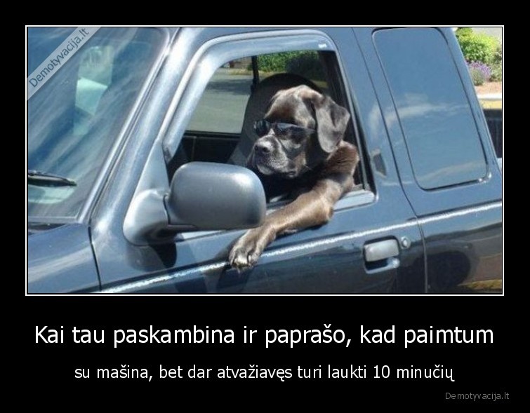 laukimas,automobilyje