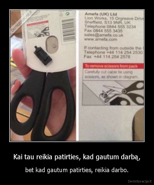 darbas,patirtis,zirkles