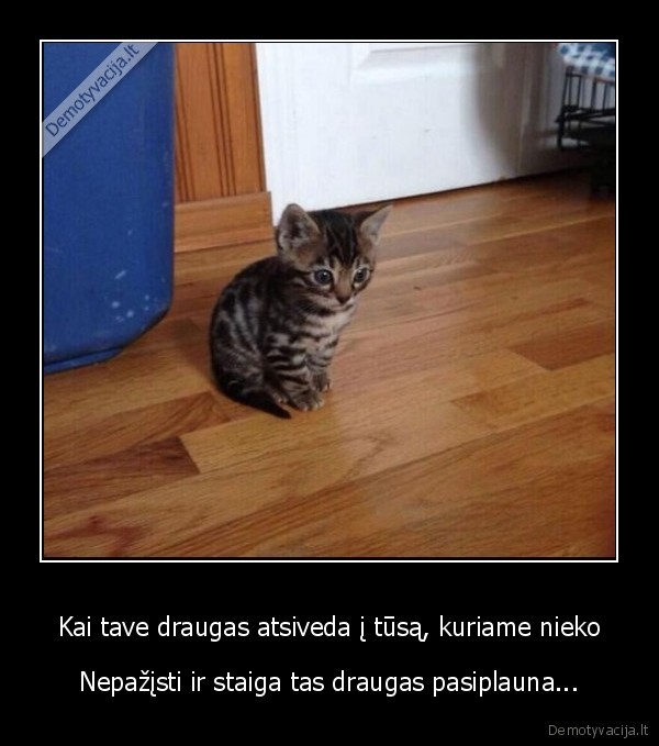 vienas, tusas,nepazistama, kompanija