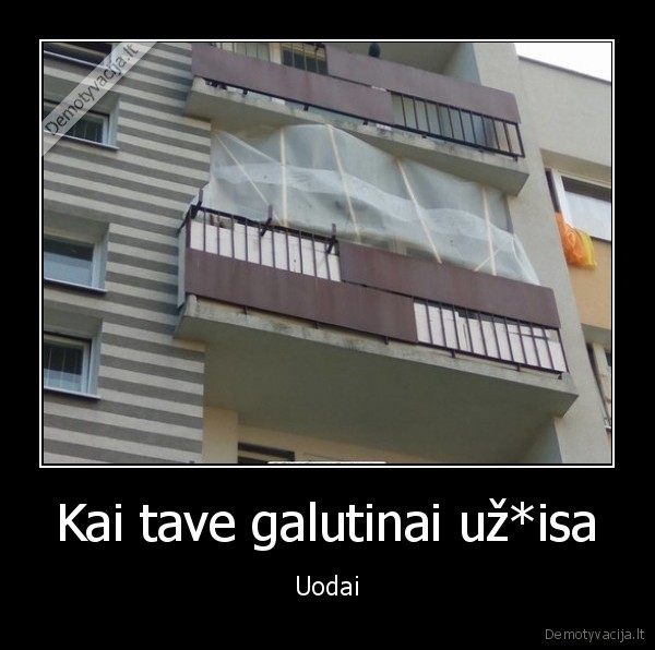 tinklas, nuo, uodu,balkonas