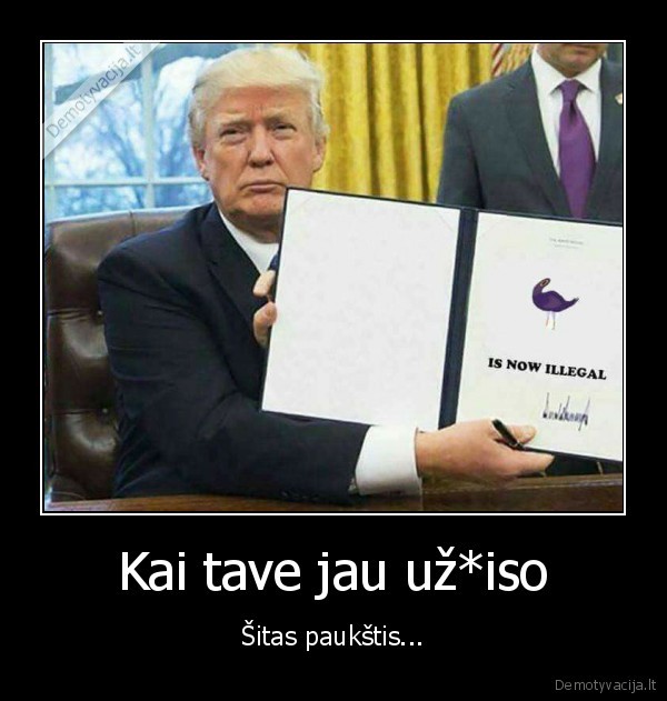 trash, dove,valentynke