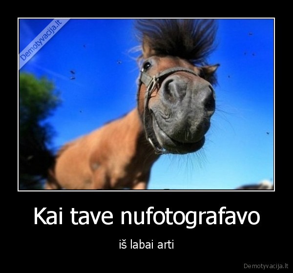 arti,fotografuoti,nuotrauka