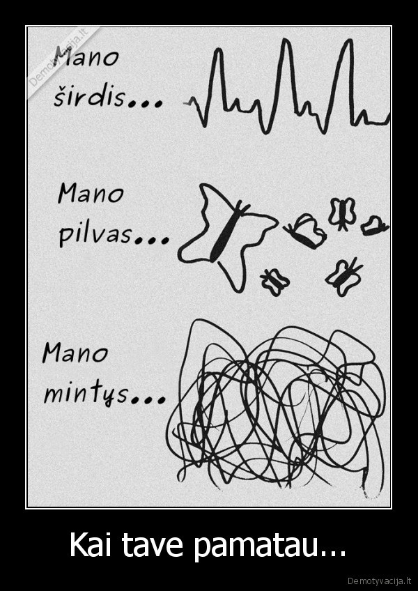 sirdis, dauzosi,drugeliai, pilve,mintys, sukasi,meile,isimyleti