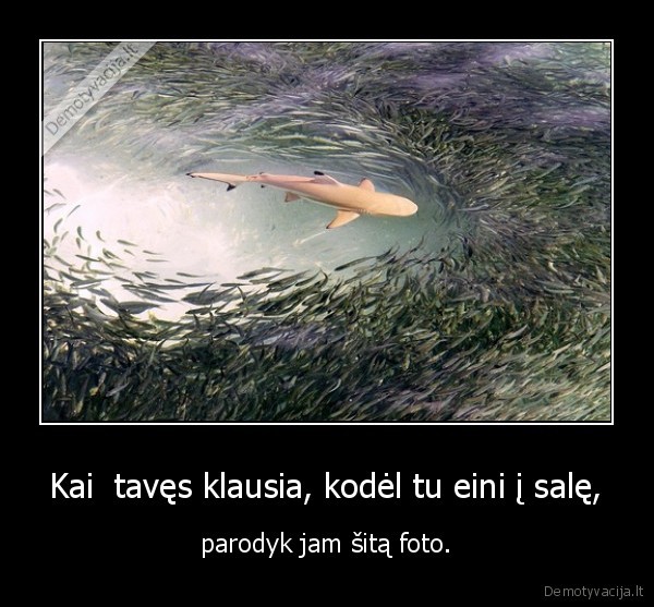 bodybuilding, fitness, muscles, fit, diet, dedication