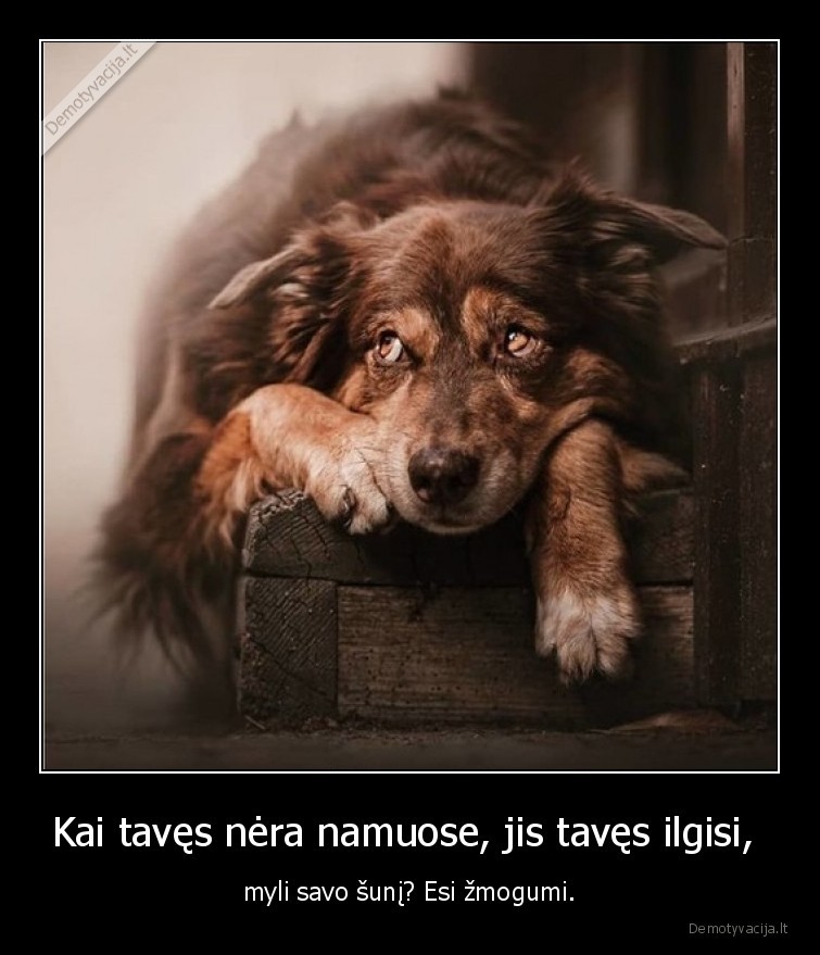 suo,zmogus,ilgisi,meile