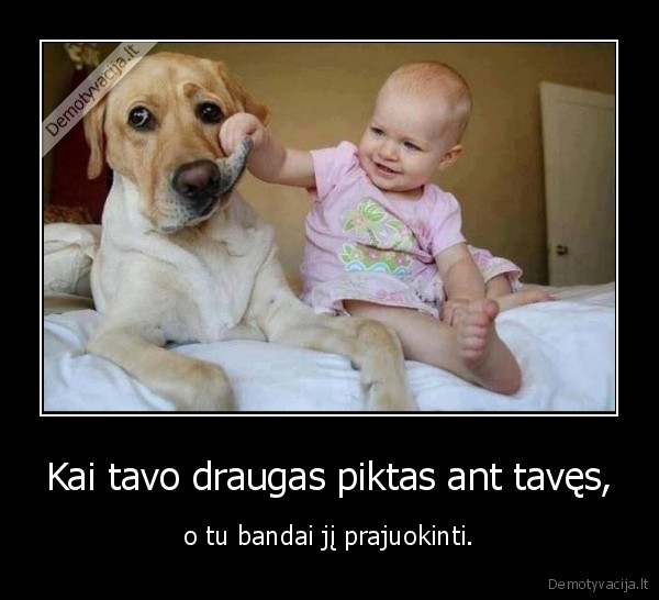 draugyste,piktas,vaikas,suo