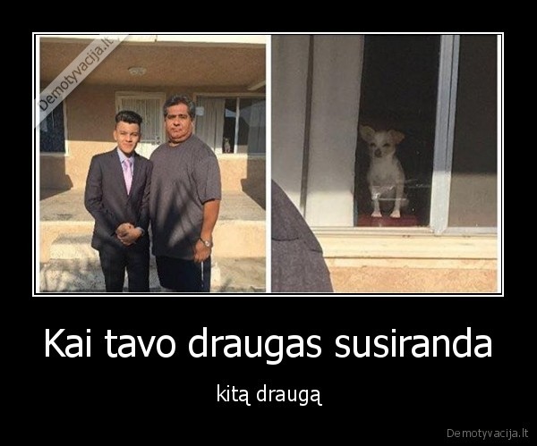 draugai,suo