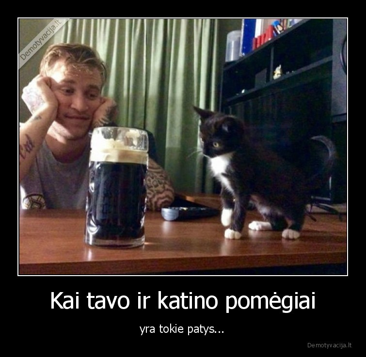 alus,katinas,vaikinas,pomegiai,katinelis