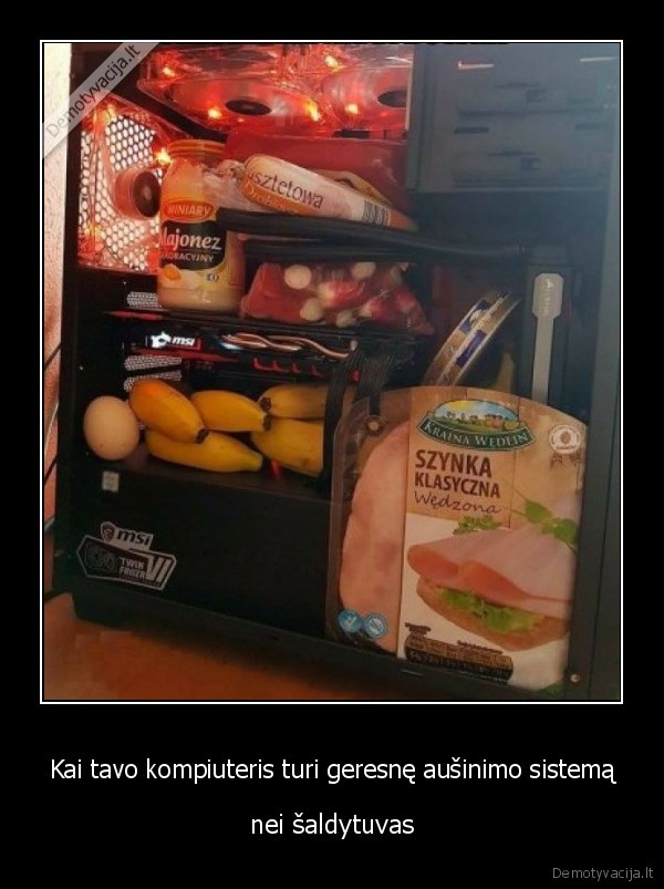 kompiuterio, ausinimas,saldo