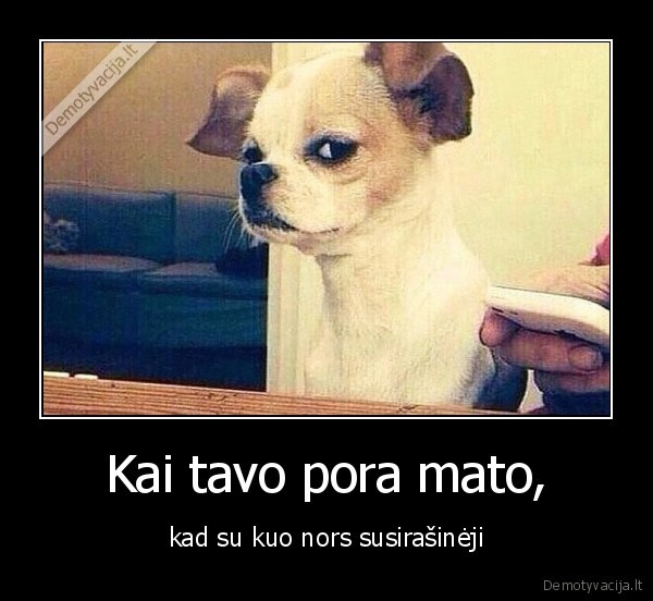 susirasineti,sms,pora