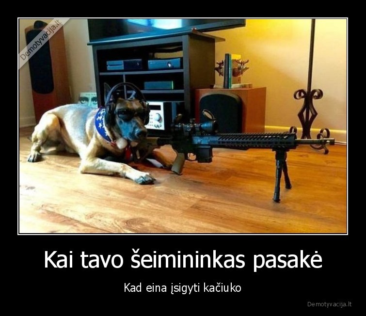 katinas,suo,snaiperis