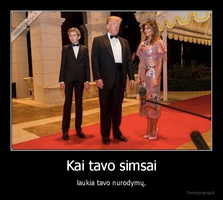 simsai,trumpas,nurodymai