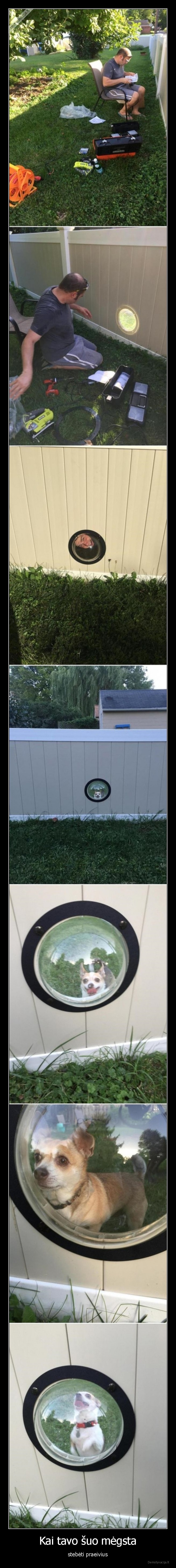 suo,praeiviai,stebeti