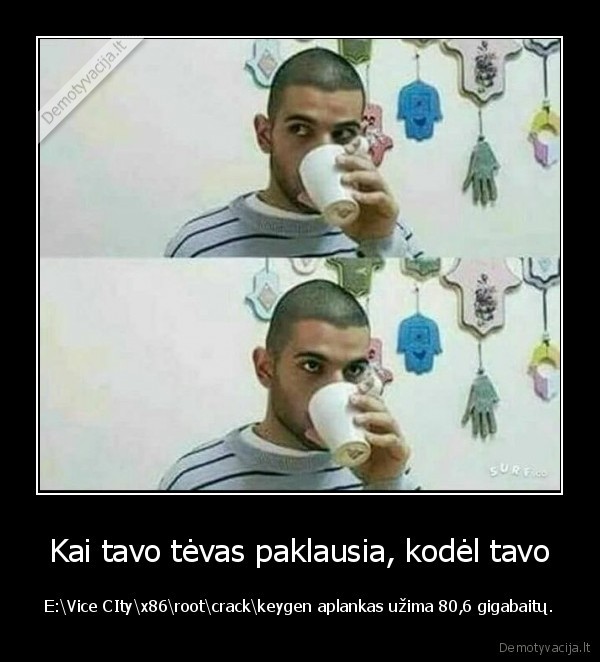 porno,vice, city,aplankas