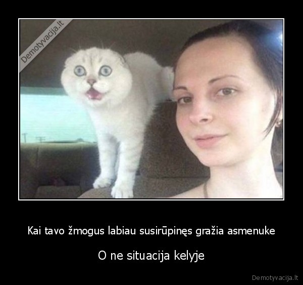 issigandes, katinas,bijo