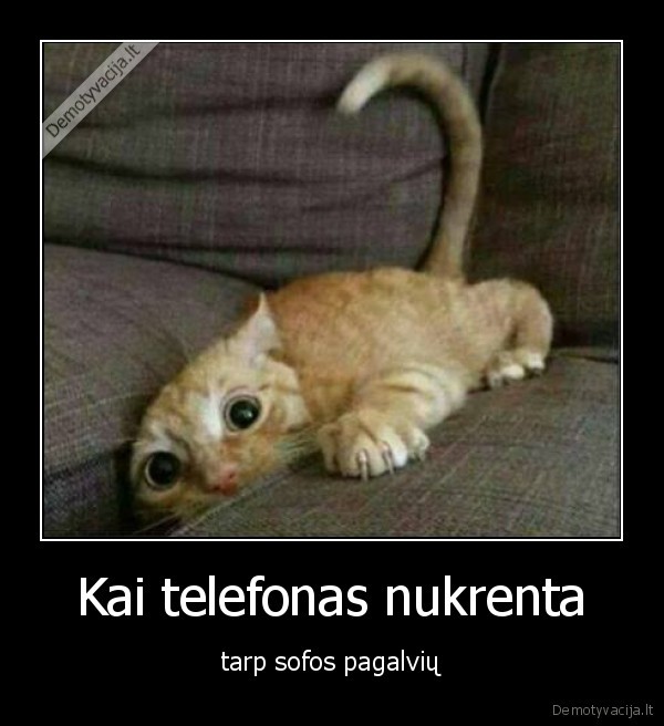 Kai telefonas nukrenta