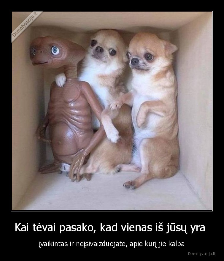 broliai,suniukai,ateivis