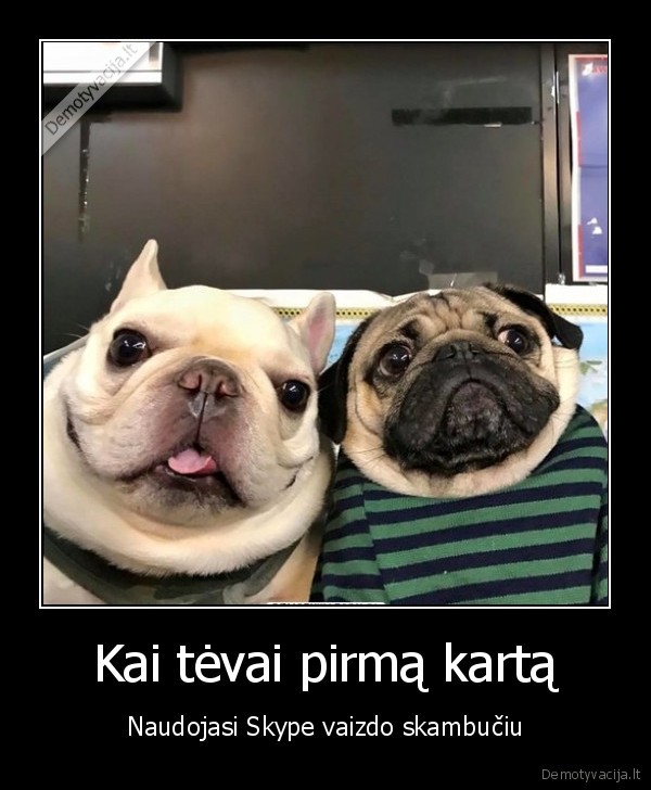 skype,juokingi, tevai