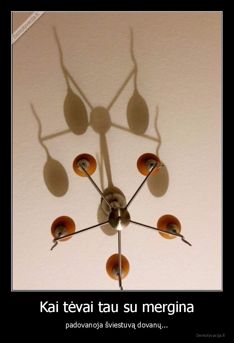 tevai,spermatozoidai,sviestuvas