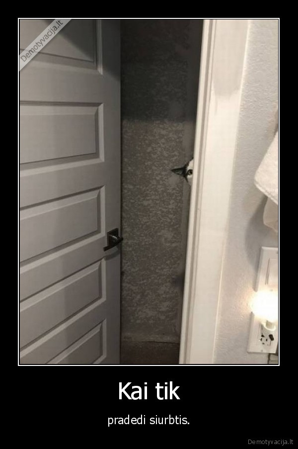 issigandes, katinas,mielas, katinas,metas, siurbtis