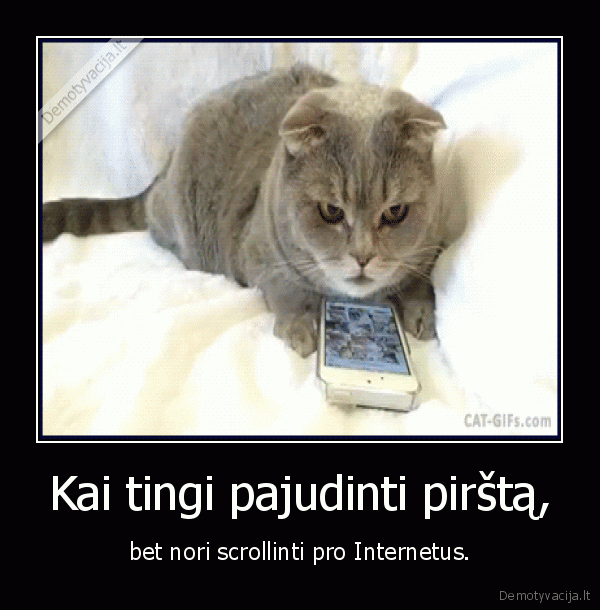 pirstas,kate,katinas,liezuvis,internetas