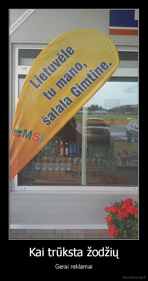 emsi, reklama,salala,veliava