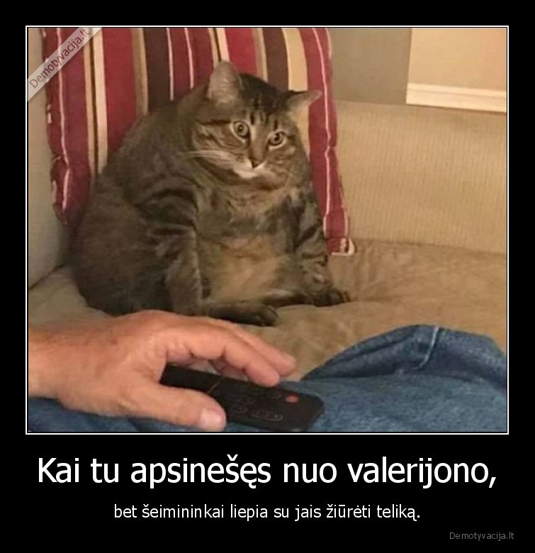 kate,katinas,valerijonas,telikas