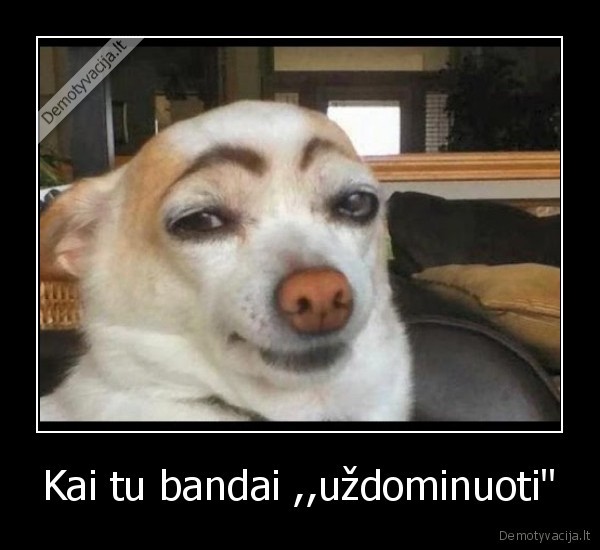 Kai tu bandai ,,uždominuoti&quot;