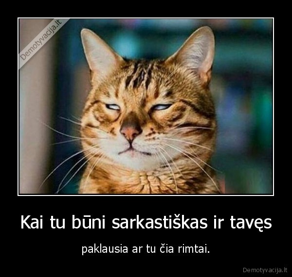 sarkazmas,rimtai,katinas