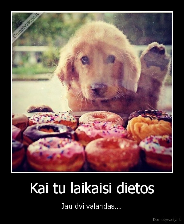 nori, maisto,spurgos,dieta