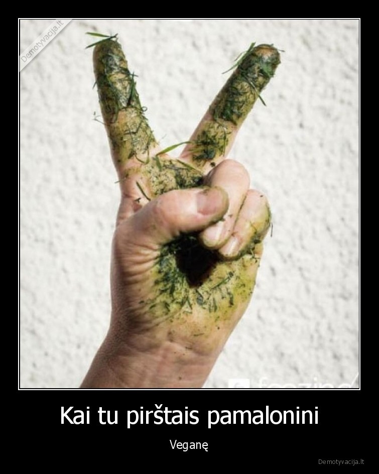 juodas, humoras,zole, byra