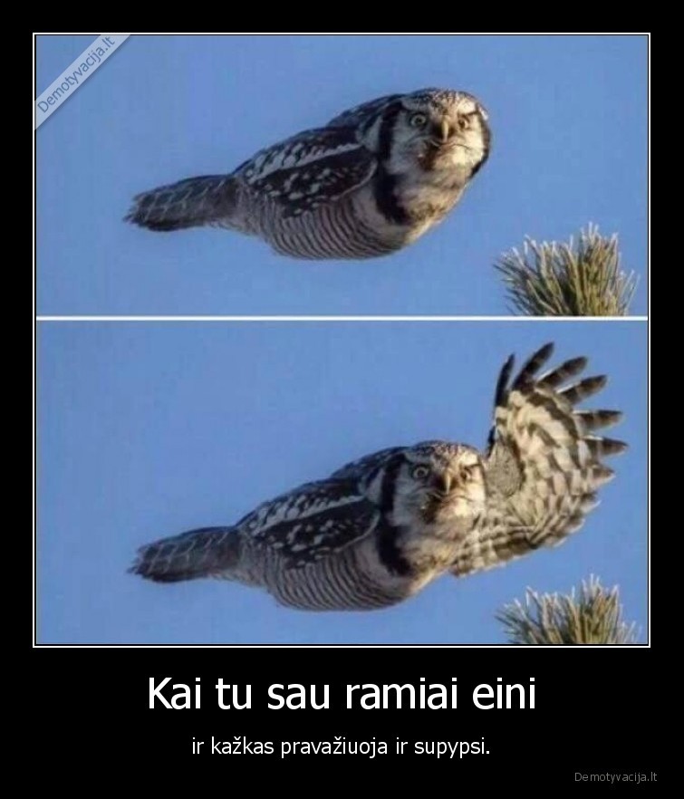 ejimas,peleda,pypsejimas