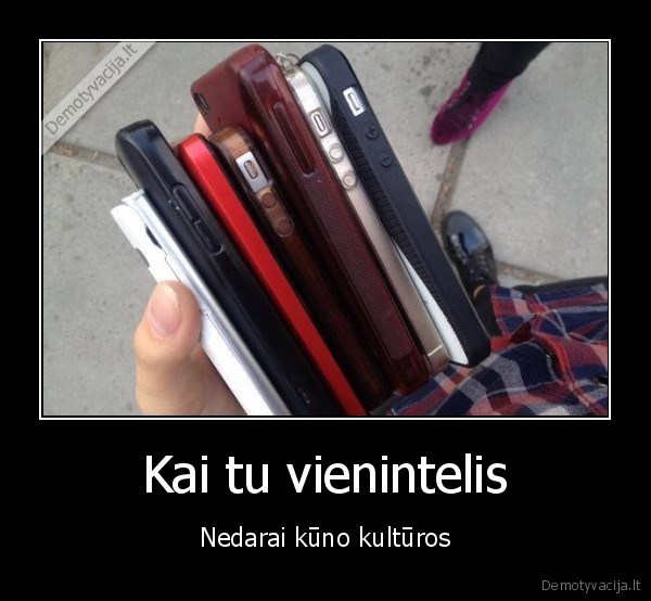 kuno, kultura,fizinis,telefonai,saugo, telefonus