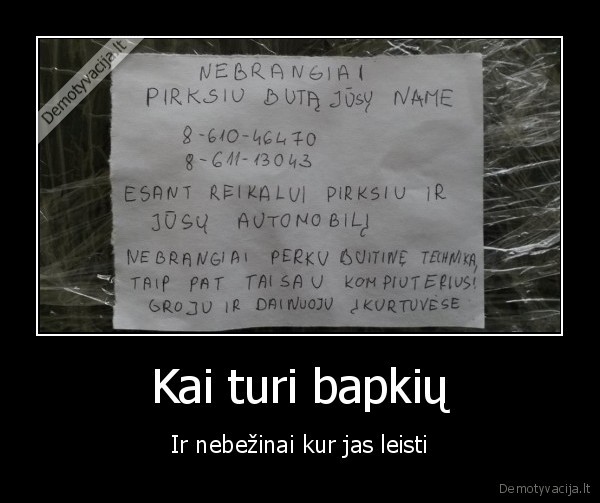 pinigai, kisene, drasko,skelbimas