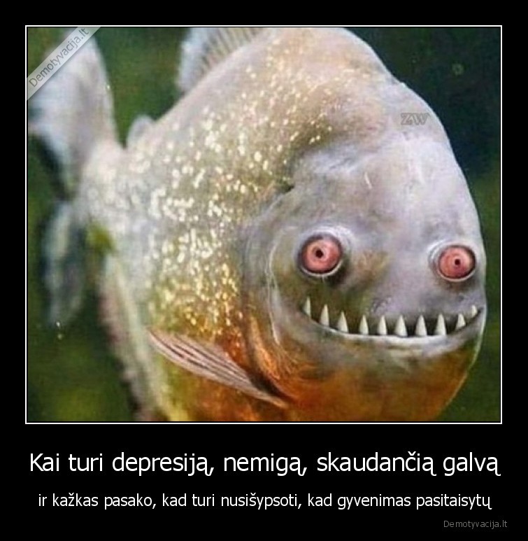 sypsena,depresija,galva, skauda,zuvis