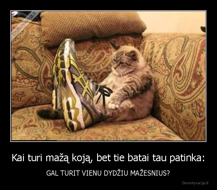 batai,patinka,katinas,ismiera