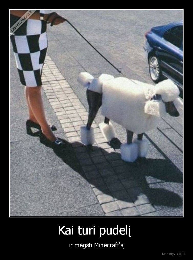 minecraft,suo,pudelis,kubelis