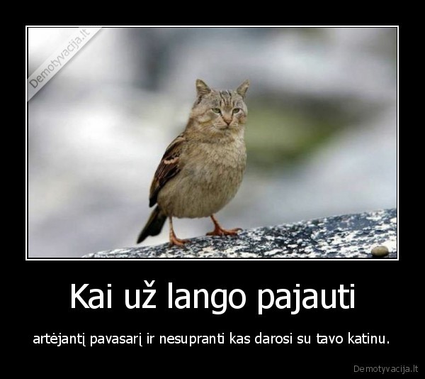 Kai už lango pajauti